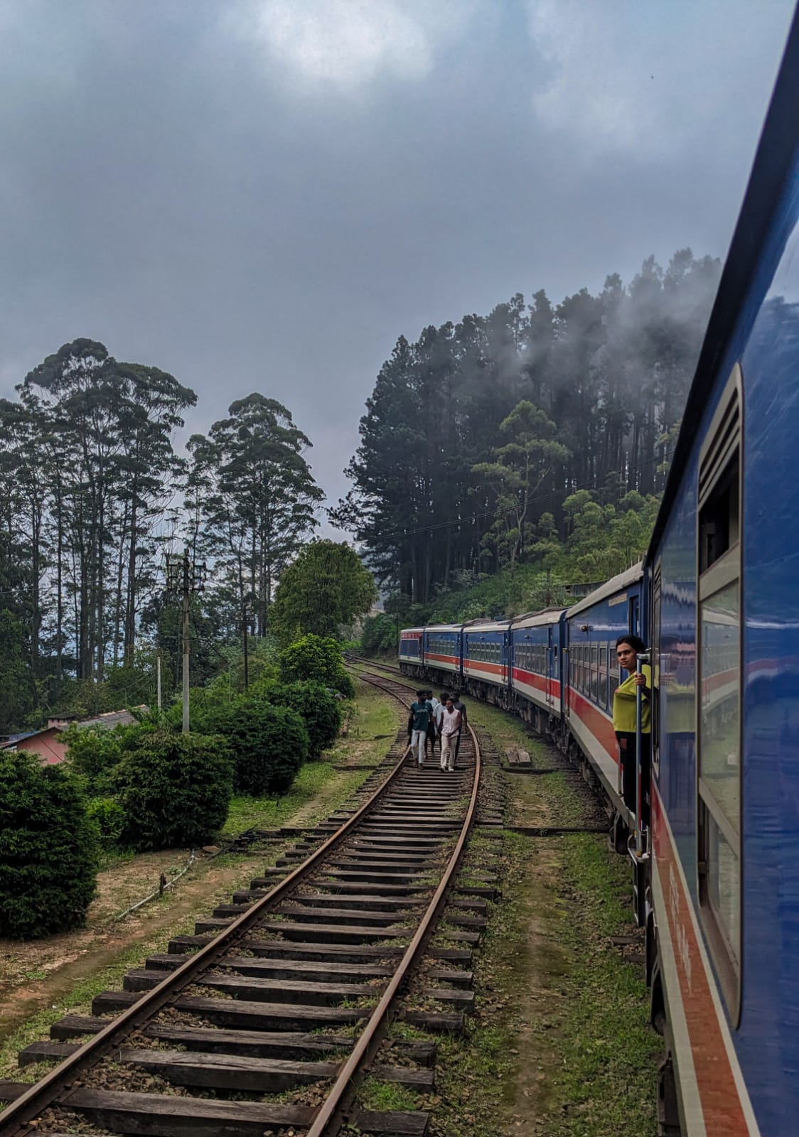 Train through tea hills